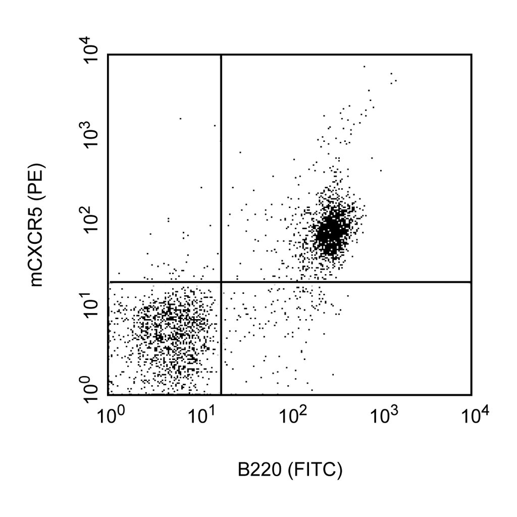 BD Purified Rat Anti-Mouse CD185 (CXCR5)