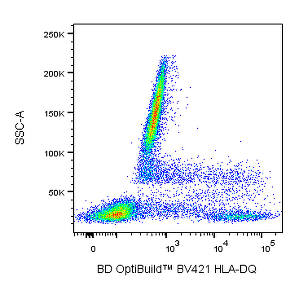 BD BV421 Mouse Anti-Human HLA-DQ