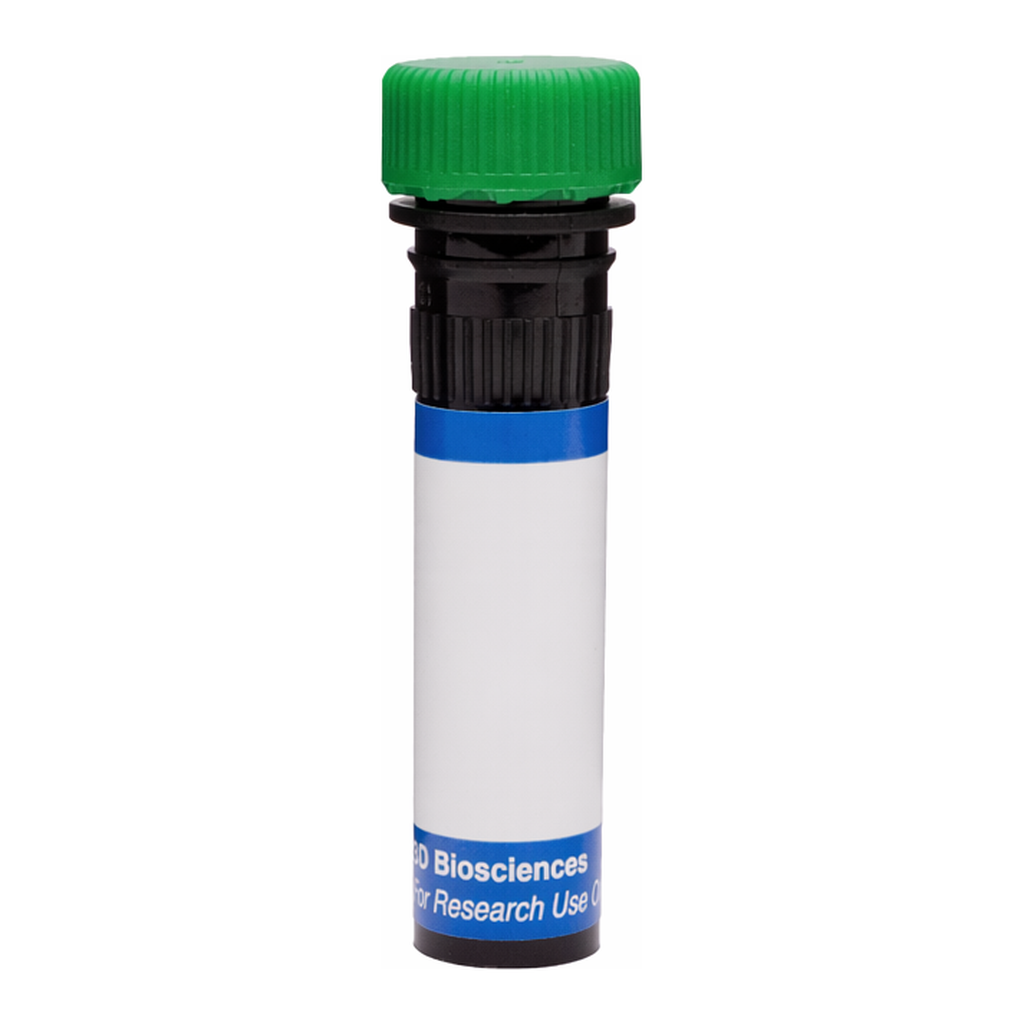 BD RB545 Mouse Anti-Human Delta-Like Protein 1