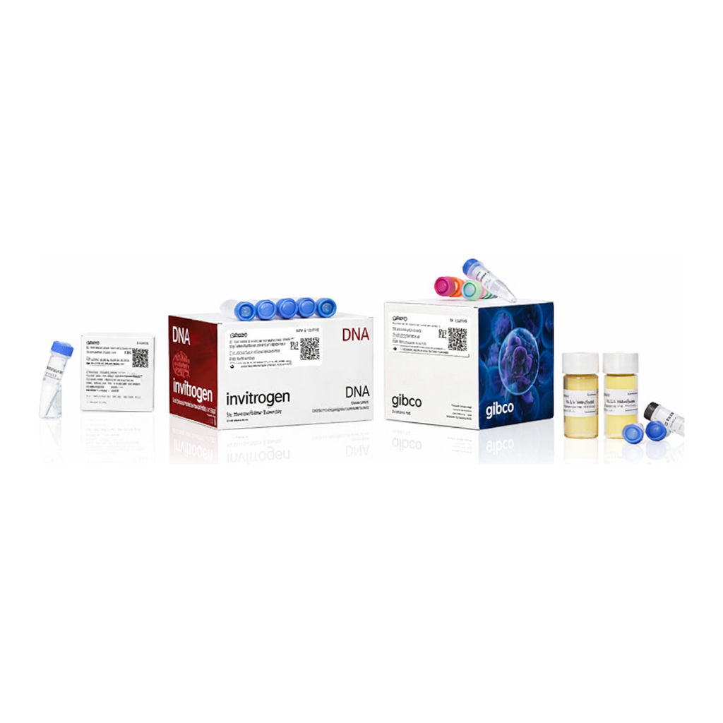 Thermo Fisher Scientific Bac-to-Bac HBM TOPO Secreted Expression System