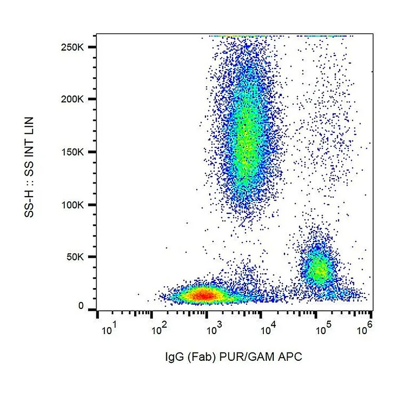 Thermo Fisher Scientific Mouse anti-Human IgG Fab Secondary Antibody