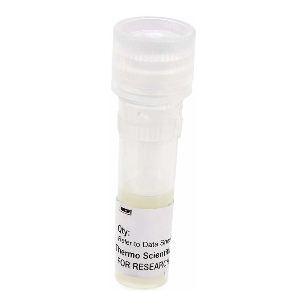 Thermo Fisher Scientific pTK-Gaussia-Dura Luc Vector for Luciferase Assays