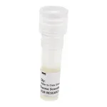 Thermo Fisher Scientific pTK-Gaussia-Dura Luc Vector for Luciferase Assays