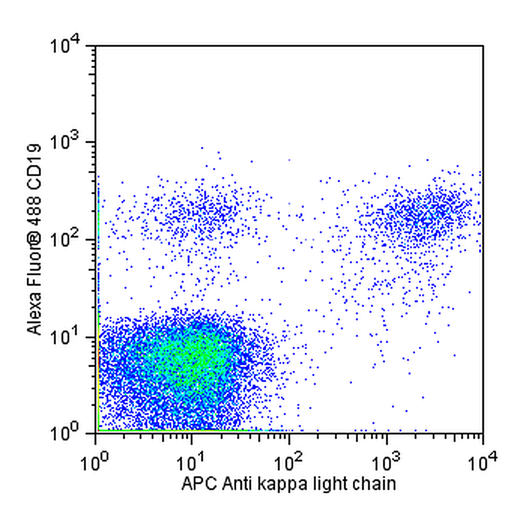 BD APC Mouse anti-Human Ig, κ Light Chain