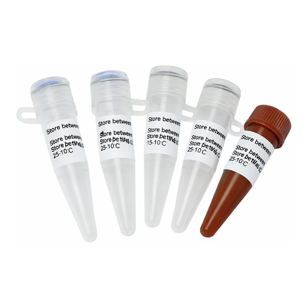 Thermo Fisher Scientific Maxima SYBR Green qPCR Master Mix (2X), with separate ROX vial, 200 reactions