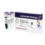 Thermo Fisher Scientific FastDigest BspLI