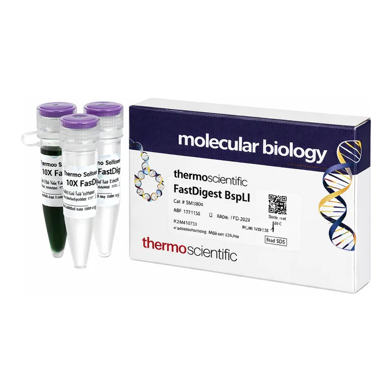 Thermo Fisher Scientific FastDigest BspLI