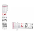 Merck MISSION(R) esiRNA