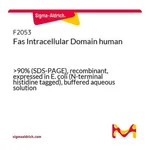 Merck Fas Intracellular Domain human