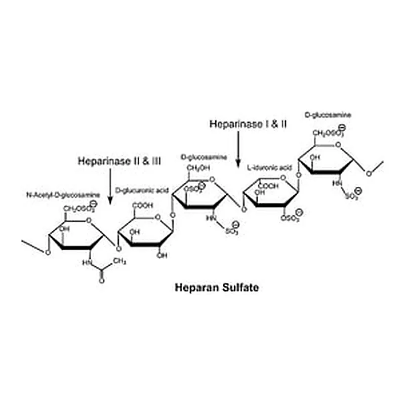 Merck HEPARINASE III FROM FLAVOBACTERIUM&