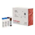 Thermo Fisher Scientific MIP-3 beta (CCL19) Mouse ProcartaPlex Simplex Kit