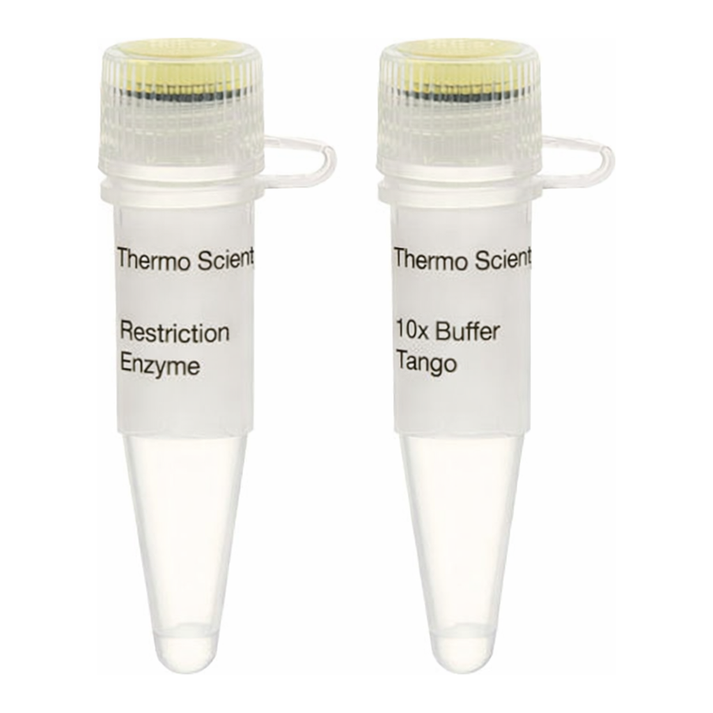Thermo Fisher Scientific SmaI, HC (50 U/&mu;L)