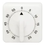WITEG Analog Table Timer