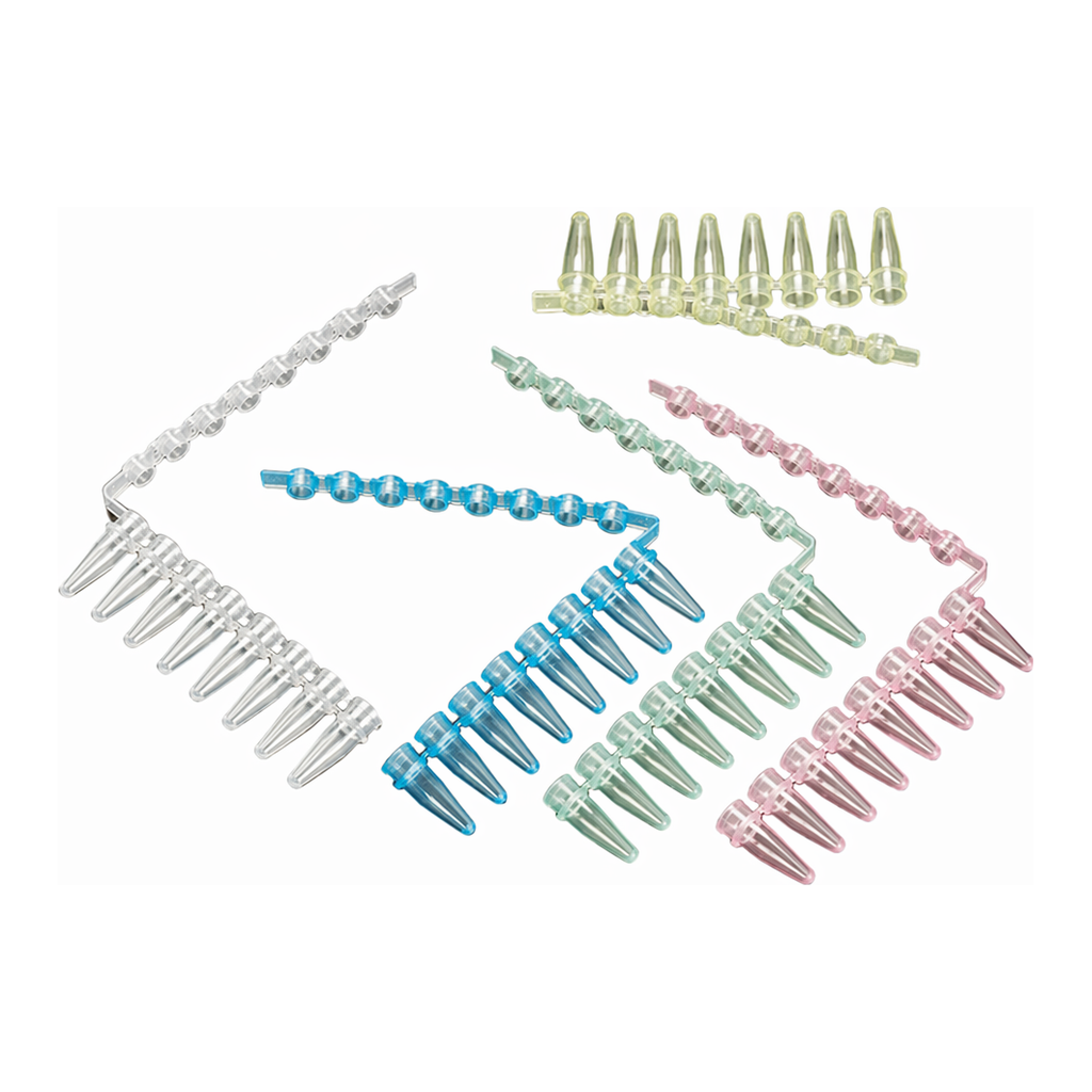 SIMPORT PCR 스트립 튜브 Amplitube TM PP PCR Reaction Tube Strip