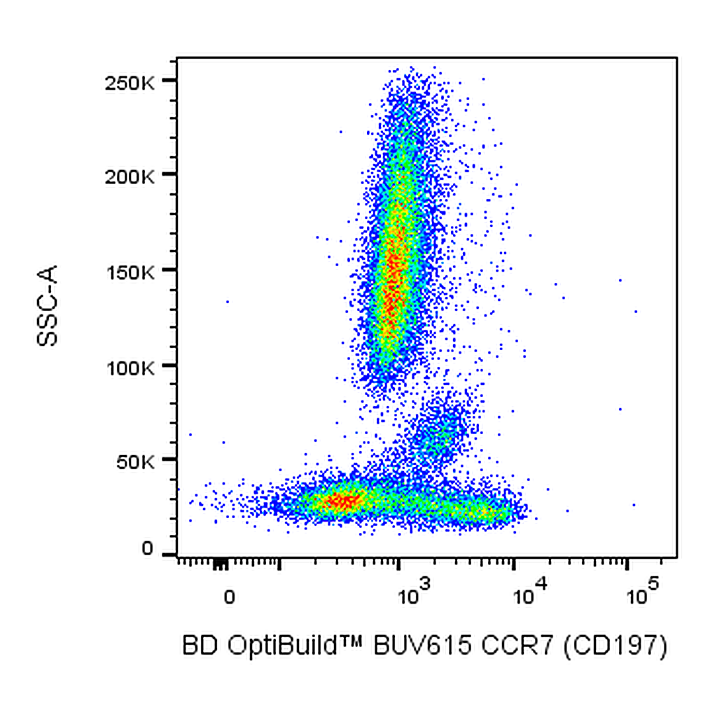 BD BUV615 Mouse Anti-Human CCR7 (CD197)