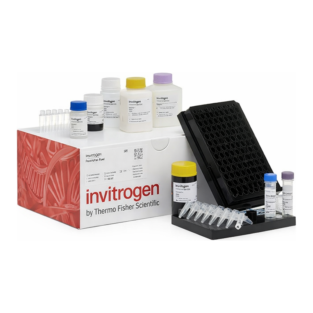 Thermo Fisher Scientific ProcartaPlex Human Cytokine Panel 1C, 7plex