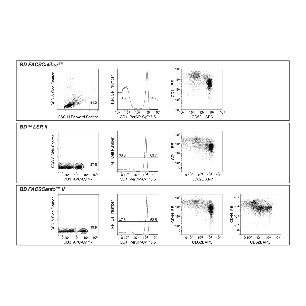 BD Mouse Naive/Memory T Cell Panel