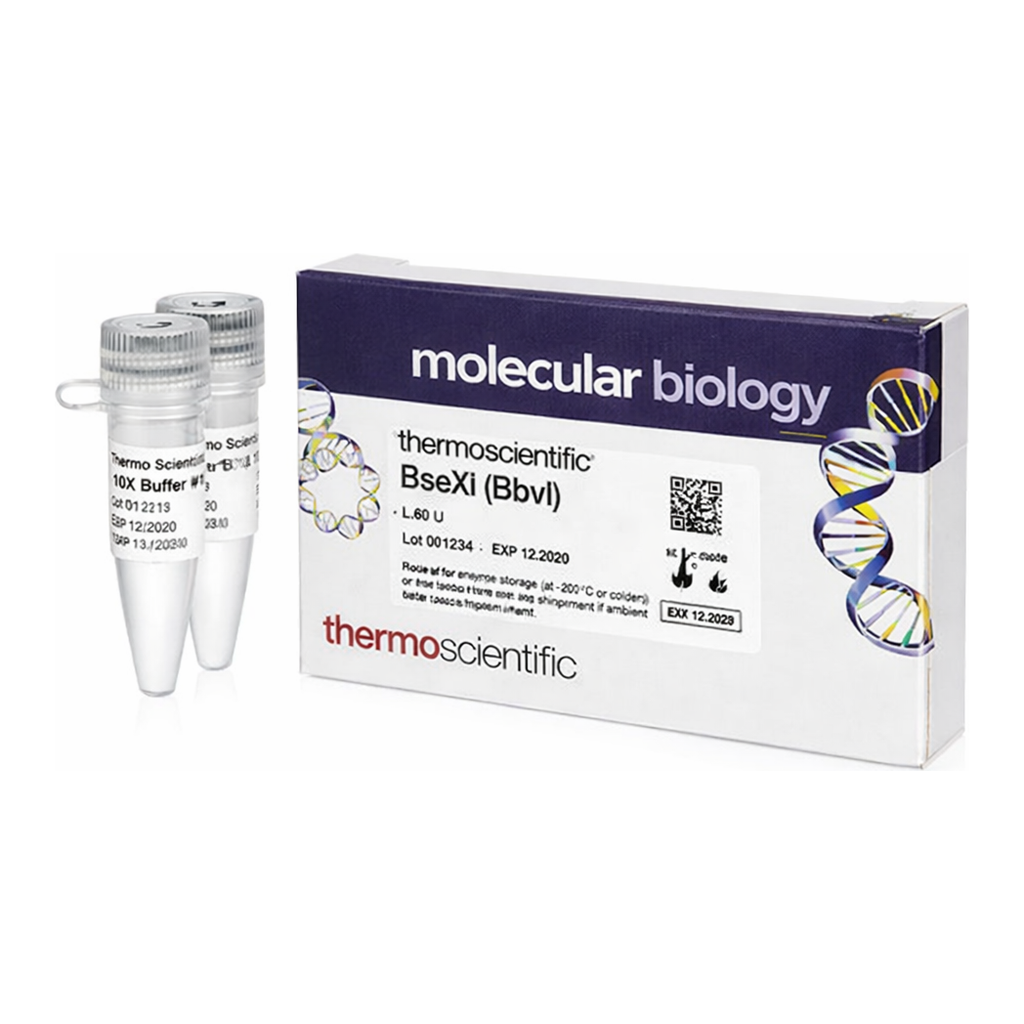 Thermo Fisher Scientific BseXI (BbvI) (3 U/&mu;L), 100 units