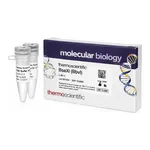 Thermo Fisher Scientific BseXI (BbvI) (3 U/μL), 100 units