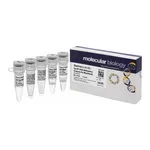 Thermo Fisher Scientific EpiJET DNA Methylation Analysis Kit (MspI/HpaII)