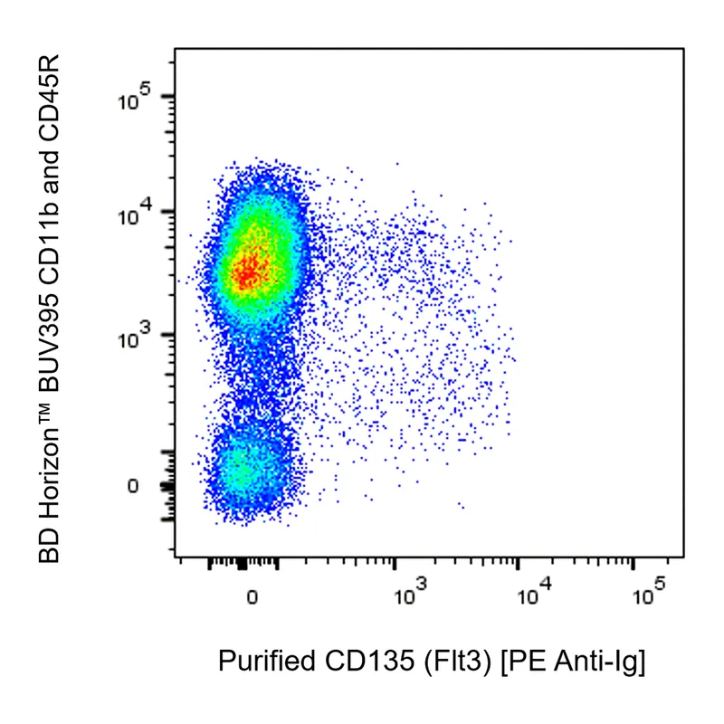 BD Purified Rat Anti-Mouse CD135 (Flt3)