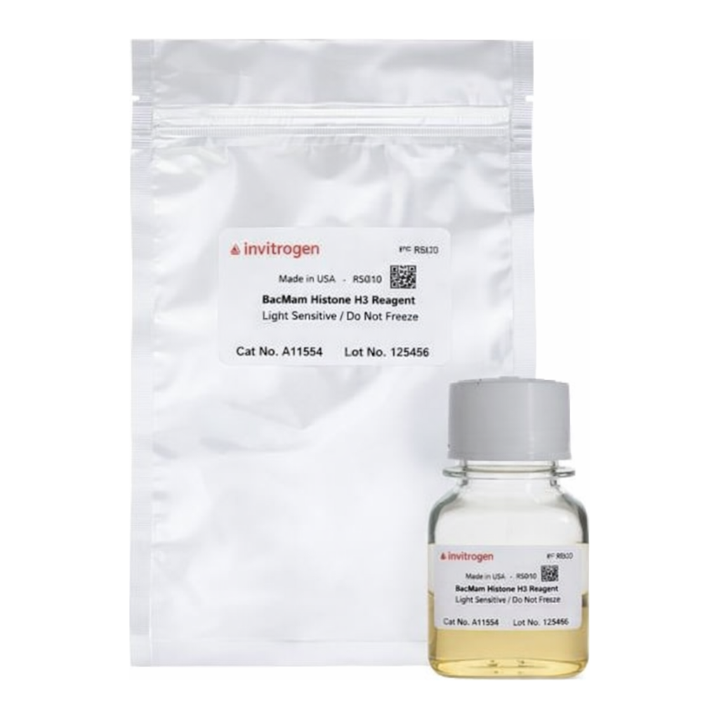 Thermo Fisher Scientific BacMam Histone H3 Reagent