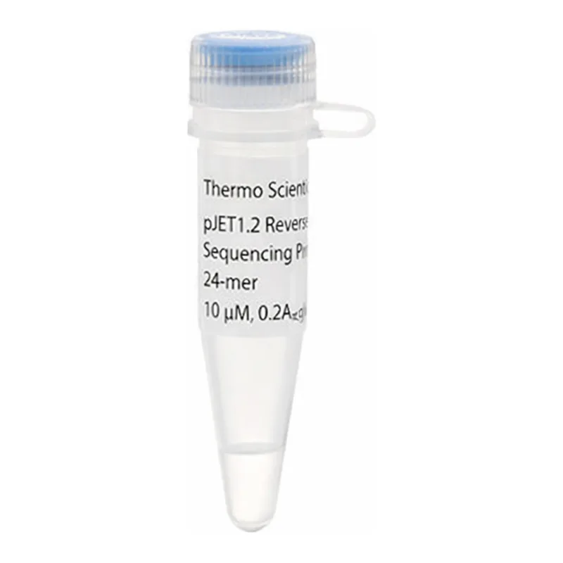 Thermo Fisher Scientific pJET1.2 Reverse Sequencing Primer, 24-mer