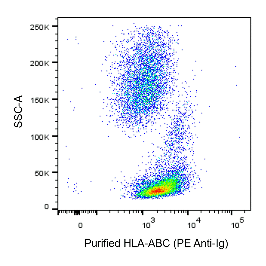 BD Purified Mouse Anti-Human HLA-ABC