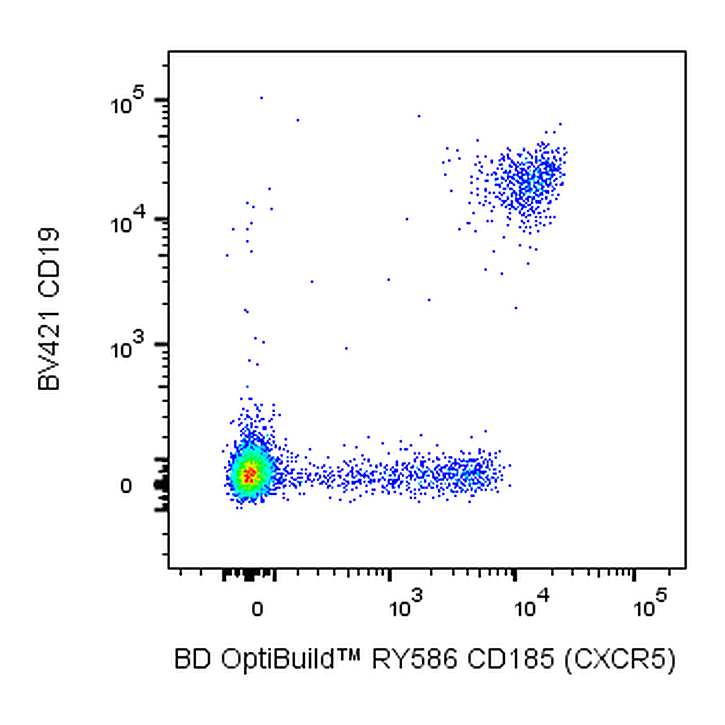 BD RY586 Rat Anti-Human CXCR5 (CD185)
