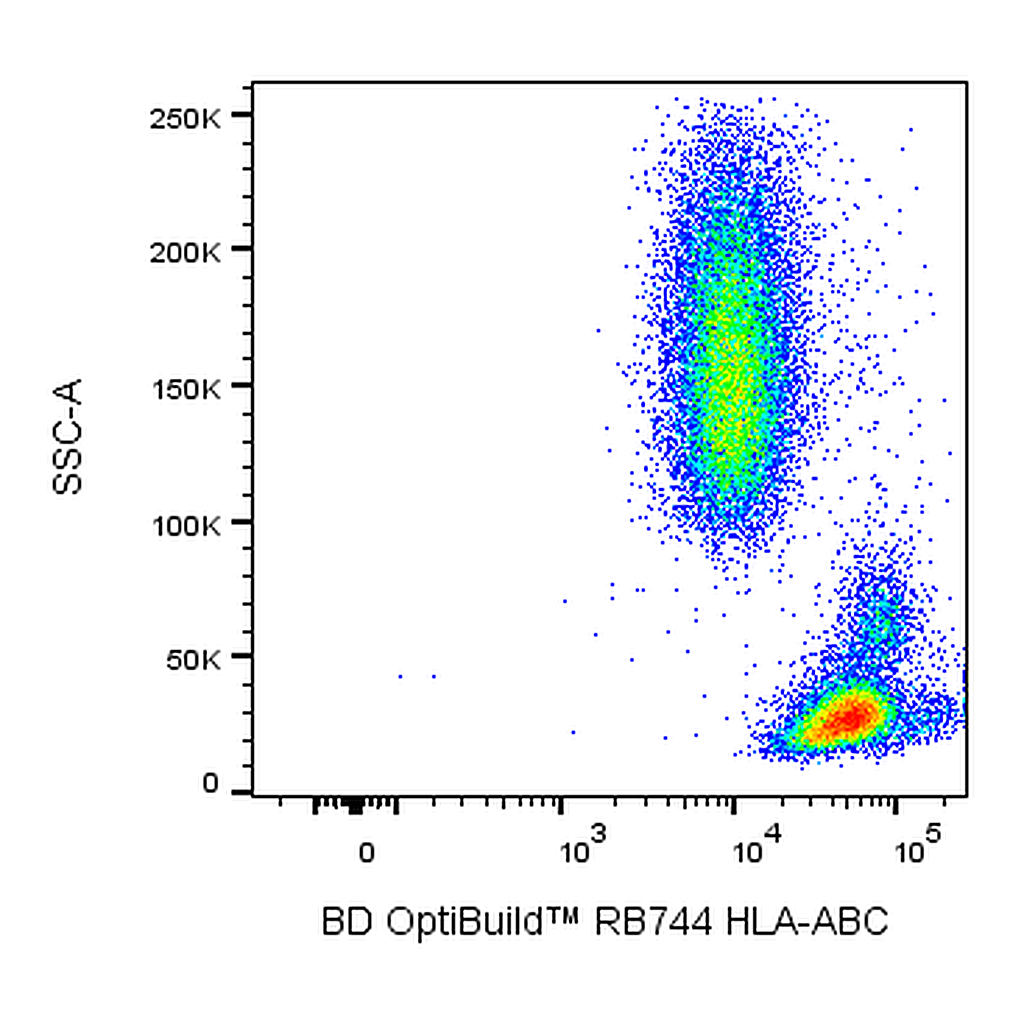 BD RB744 Mouse Anti-Human HLA-ABC