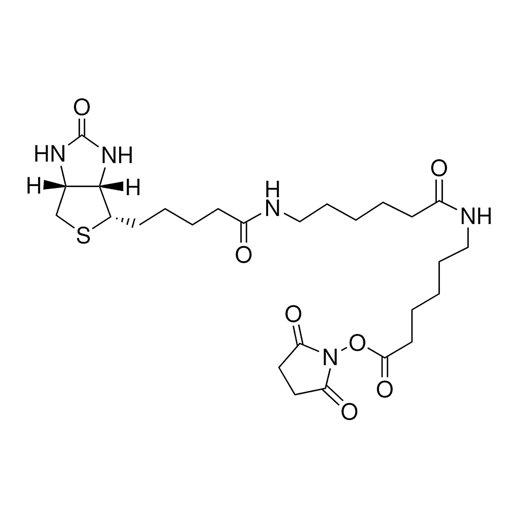 Merck Biotinamidohexanoyl-6-aminohexanoic acid N-hydroxysuccinimide ester