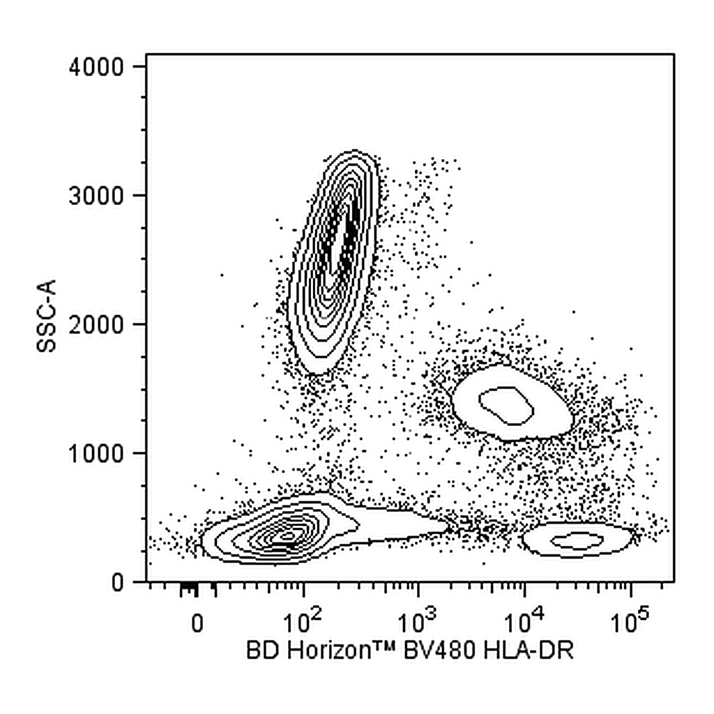 BD BV480 Mouse Anti-Human HLA-DR