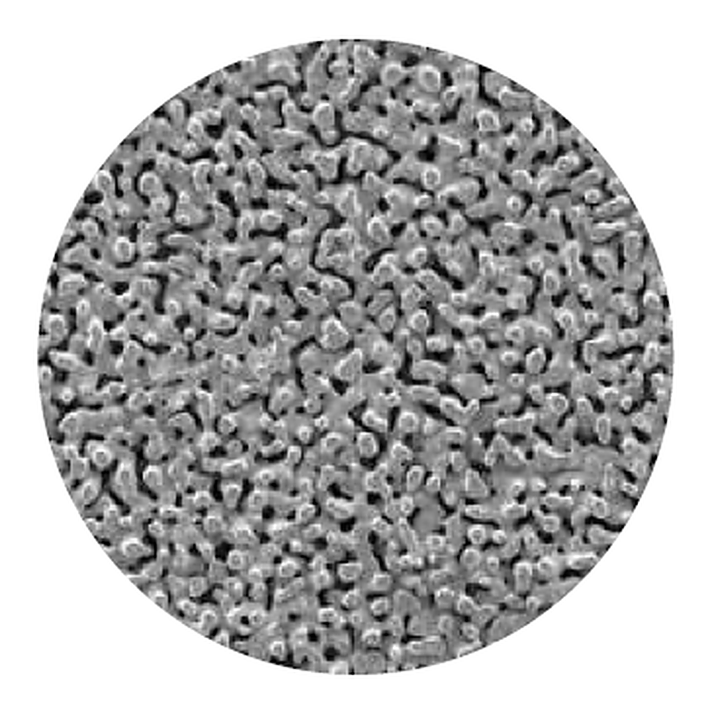 GVS Silver Membrane