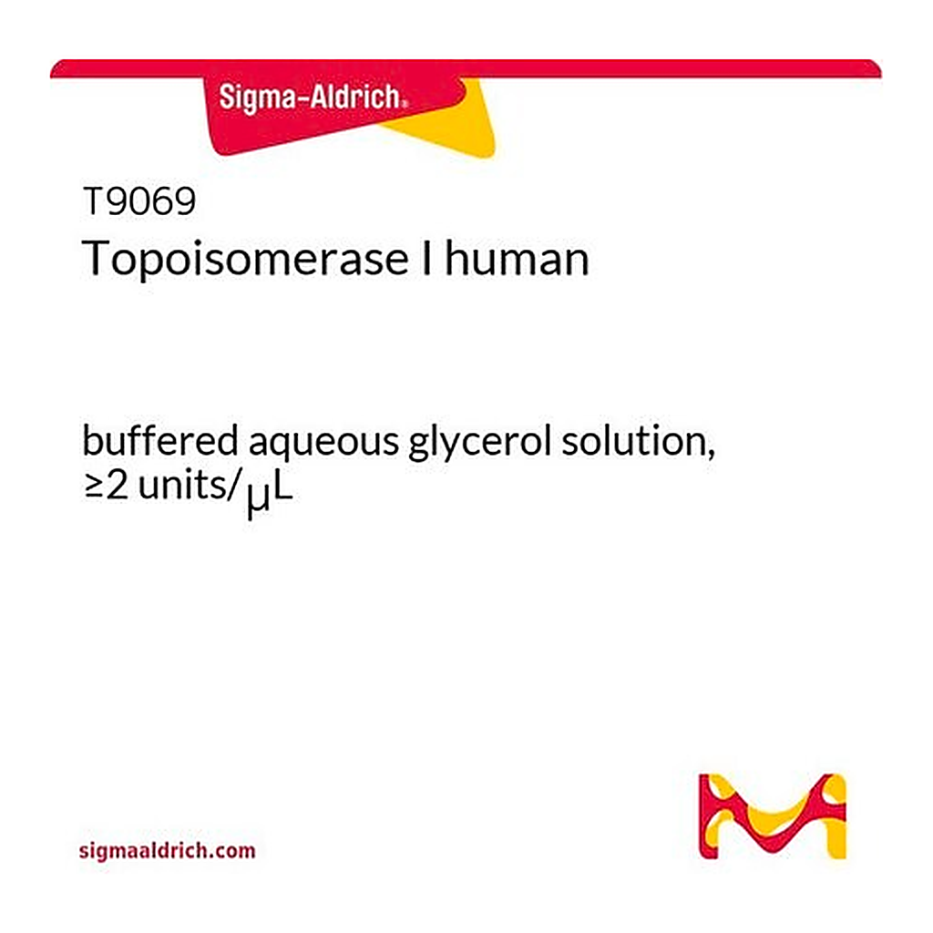 Merck Topoisomerase I human