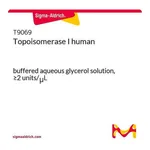Merck Topoisomerase I human