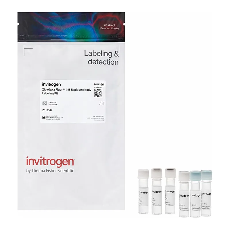 Thermo Fisher Scientific Zip Alexa Fluor 488 Rapid Antibody Labeling Kit, 3 labelings