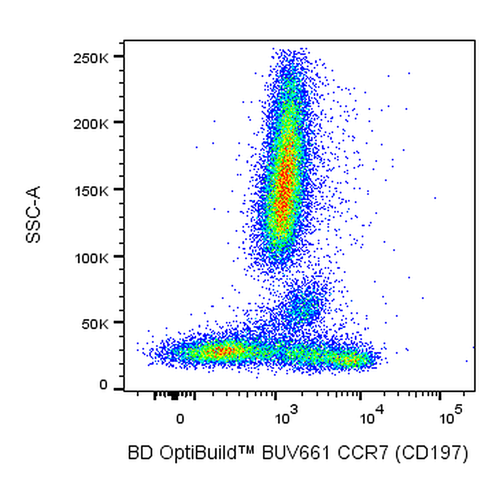BD BUV661 Mouse Anti-Human CCR7 (CD197)
