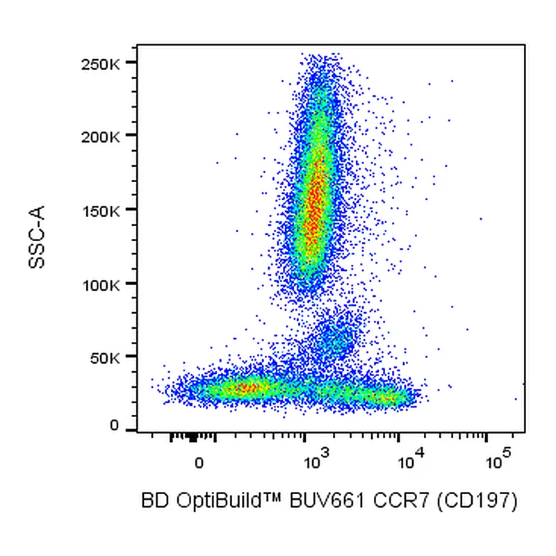 BD BUV661 Mouse Anti-Human CCR7 (CD197)