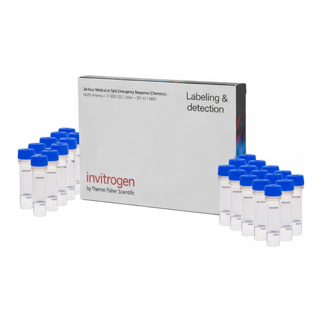 Thermo Fisher Scientific CoroNa Green, AM, cell permeant - Special Packaging