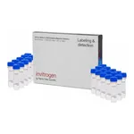 Thermo Fisher Scientific CoroNa Green, AM, cell permeant - Special Packaging