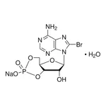 Merck 8-Bromoadenosine 3',5'-cyclic monophosphate sodium salt monohydrate