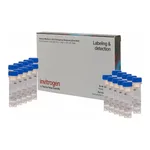 Thermo Fisher Scientific CellTracker CM-DiI Dye, 20 x 50ug