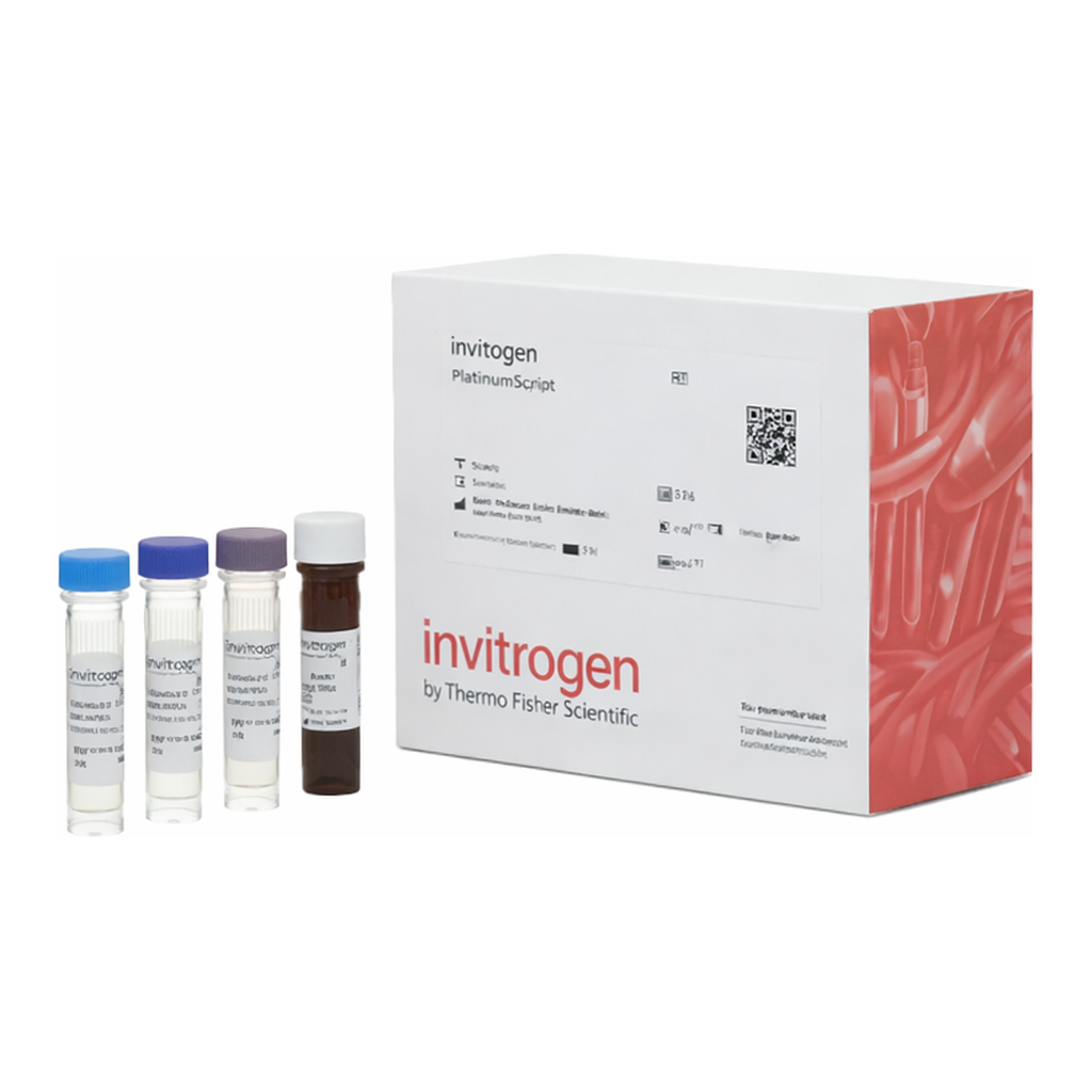 Thermo Fisher Scientific SYB16 (CXCL16) Mouse ProcartaPlex Simplex Kit