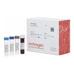 Thermo Fisher Scientific SYB16 (CXCL16) Mouse ProcartaPlex Simplex Kit