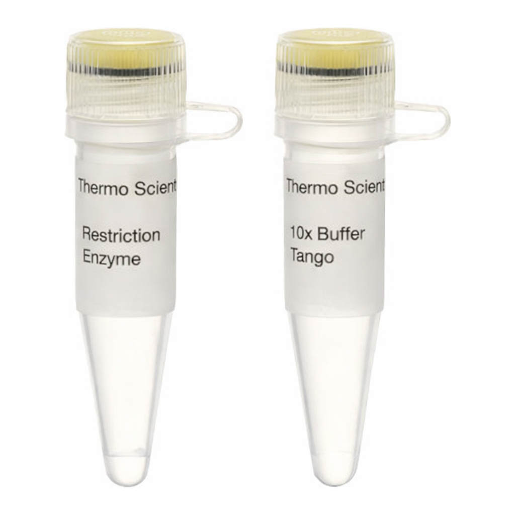 Thermo Fisher Scientific HhaI (10 U/&mu;L)
