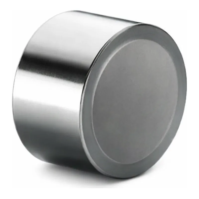 Waters Torus 2-PIC Prep Guard Cartridge, 130Å, 5 µm, 19 mm X 10 mm, 1/pk