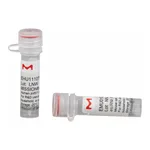 Merck MISSION(R) esiRNA