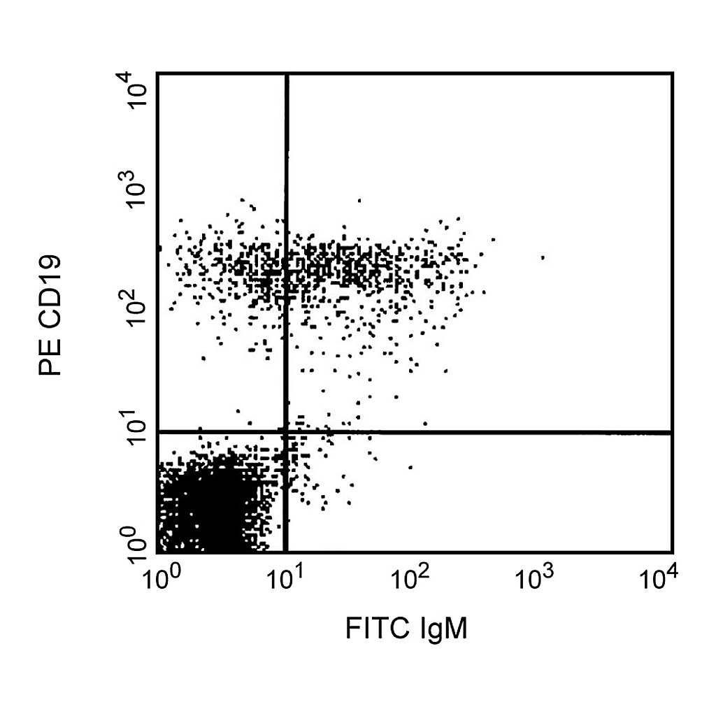 BD FITC Mouse Anti-Human IgM