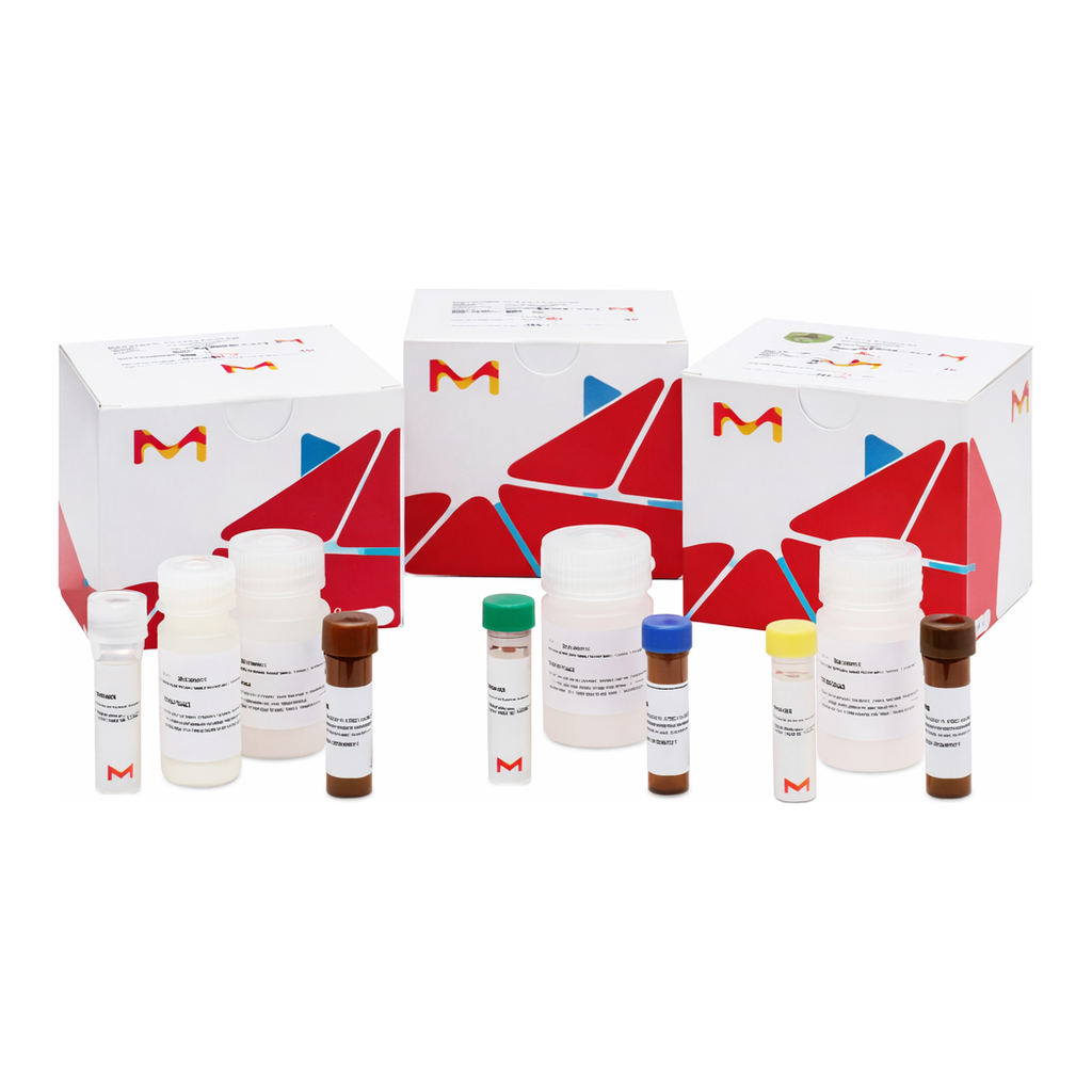 Merck PYRUVATE KINASE ASSAY KIT