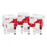Merck PYRUVATE KINASE ASSAY KIT